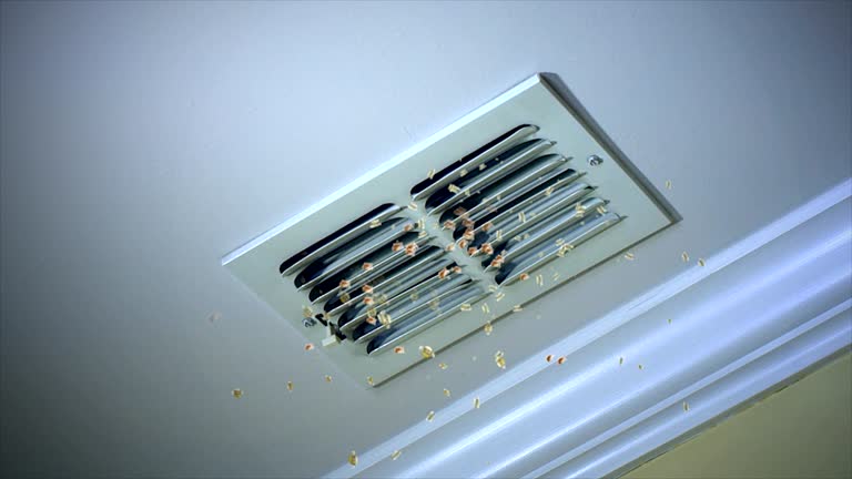 Best Duct Cleaning Specialists  in Medicine Lodge, KS